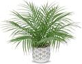 Hollyone Large Artificial Potted Plants Fake Palm Plants 16" Faux Green Plant Plastic Ceramic Tropical Palm Tree in Pots Bohemian for Home Room Office House Indoor Decorative