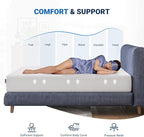 Avenco Full Size Mattress, 12 Inch Full Mattress in a Box with Bamboo Charcoal Memory Foam for Cooling Sleep & Pain Relief, Medium Soft Guestroom Full Bed Mattresses, CertiPUR-US Certified