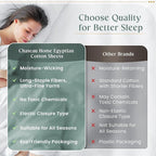 800 Thread Count Egyptian Cotton Sheets Queen Sheet Set Deep Pocket,100% Cotton Bed Sheets Queen Size Set, No Pill Soft & Comfy Naturally Cool Breathable Elasticated Sheet & Pillowcase Sets-Lavender