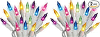 Holiday Pride Easter String Lights - 100 Count Mini Easter Lights String on White Wire (22.5 Ft) - Indoor/Outdoor Use - UL Listed - Static & Blinking Modes (Pack of 2)