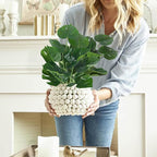 RECUTMS 6 Bundles Fake Plants Artificial Tropical Palm Leaves Tree Faux Monstera Shrubs Green Plant Turtle Leaf Stems UV Resistant Greenery Indoor Outdoor Home Garden Office Bouquet Filler Decor