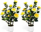 2Pack Artificial Camellia Tree, 2FT Fake Tree Blooming Camellia Flower Plant for Spring Home Front Door Outdoor Indoor Decoration,Yellow