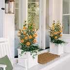 43.3"/3.6FT Artificial Tree with Camellia Flowers Fake Fall Tree with 32 Blooming Flowers Orange Tree for Autumn Home Front Door Outdoor Indoor Decor (Including Dried Moss)