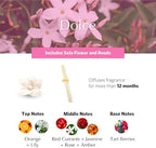 AGRARIA PetiteEssence Flower and Reed Diffuser Set, Hand Crafted Sola Flower Botanical Home Fragrance Set, Scented Oil Gift for All Occasions