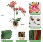 CXGS Orchids Artificial Flowers Real Touch Fake Flowers in Ceramic Pot 20" Purple Dapple Faux Orchid Plant Lifelike Silk Phalaenopsis for Centerpiece Hotel Home Indoor Decor