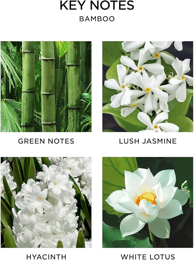 NEST New York Smart Home Fragrance Diffuser Refill Smart Vials, Bamboo - Set of 2 - Designed for NEST x Pura 3 and NEST x Pura 4 Diffusers - Cruelty Free, Vegan