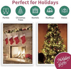 LAMPHOME Super-Bright Extendable Warm White Christmas Lights Decoration 100Lights 19.6ft UL Certified Mini Bulb String Lights Set for Outdoor Christmas Tree Garden Holiday Party Patio Wedding Decor