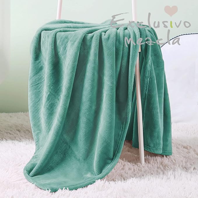 Exclusivo Mezcla Fleece Throw Blanket for Couch, Super Soft and Warm Blankets, Celadon Throw All Season Use, Cozy, Plush, Lightweight, 40x50 Inches