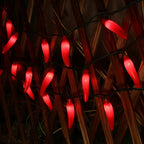 LIDORE Chili Pepper String Light Summer Kitchen Garden Patio Decoration Fairy Light Connectable Plug in UL Listed 35 Counts Red Chili 13FT