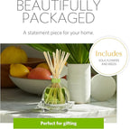 AGRARIA AirEssence Flower and Reed Diffuser Set, Handmade Sola Flower Botanical Home Fragrance Set, Scented Oil Reed Diffuser Gift for All Occasions