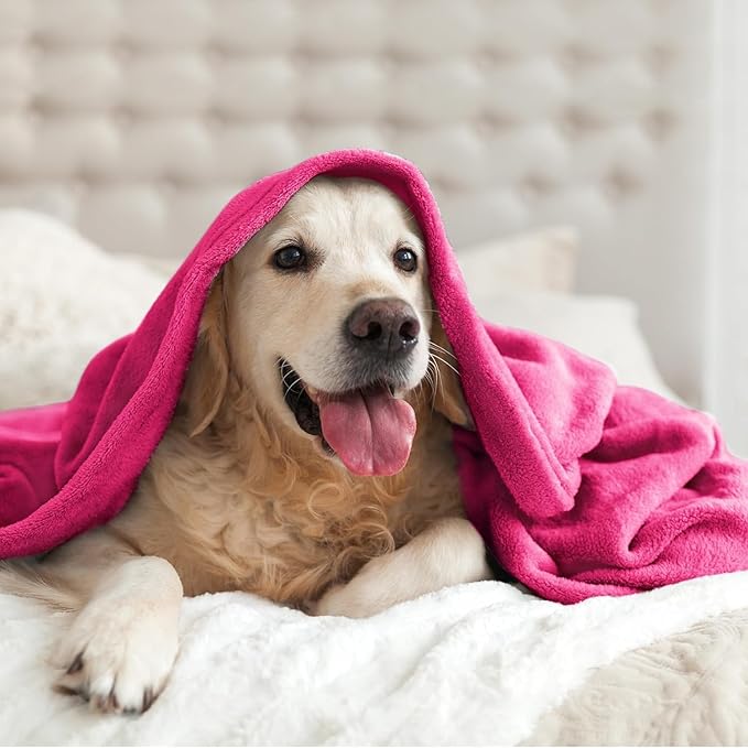BEDELITE Fleece Blanket Hot Pink Throw Blanket for Couch & Bed, Luxury Plush Cozy Fuzzy Blanket 50" x 70", Super Soft Warm Lightweight Fall Throw Blanket for Travel Camping