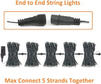Connectable 300LED 99Ft 13Modes Christmas String Lights Outdoor Indoor | Extendable Green Wire Warm White Christmas Tree Lights with Timer | Twinkle Fairy Light Plug in for Xmas Tree(Warm White)