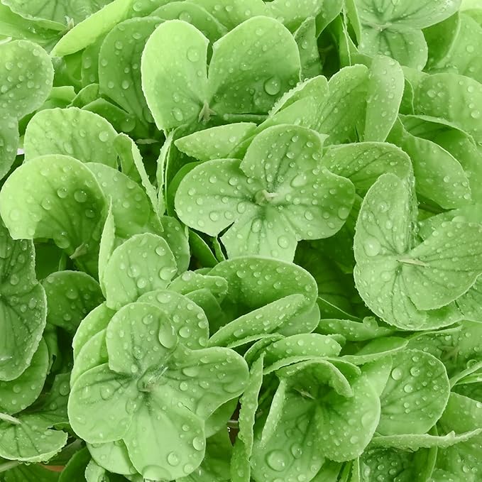 6 Pcs Real Touch Hydrangea Artificial Flowers, 21" Light Green & Dark Green Full Faux Hydrangea Flowers Latex Fake Flowers for Home Decor Party Floral Arrangements Wedding Bouquets Outdoor Decor