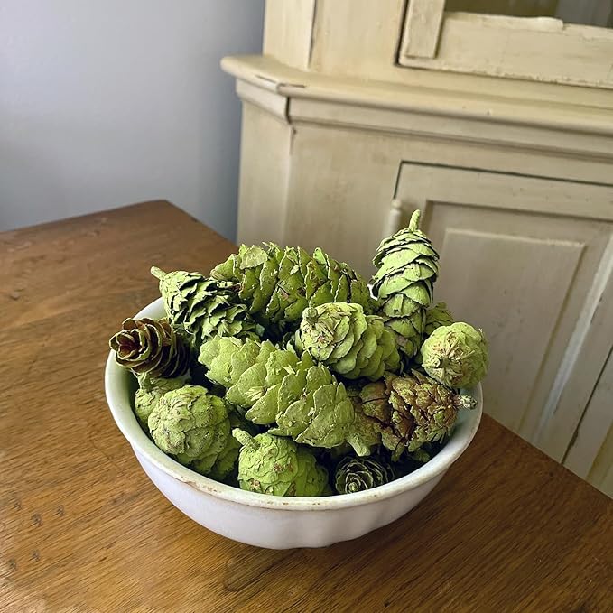 Hillhouse Naturals Balsam Fir & Cedar 8oz Potpourri Green Pine Cones. Fresh Green Notes, snowkissed Balsam fir and Crisp Cedar Waft a Breath of Winter air into Your Home. Made in The USA.