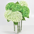 6 Pcs Real Touch Hydrangea Artificial Flowers, 21" Light Green & Dark Green Full Faux Hydrangea Flowers Latex Fake Flowers for Home Decor Party Floral Arrangements Wedding Bouquets Outdoor Decor