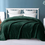 Exclusivo Mezcla Fleece Queen Size Blanket for Bed, 90x90 Inches Soft Cozy Jacquard Flannel Blankets, Lightweight Fuzzy Plush Warm for Winter, Forest Green