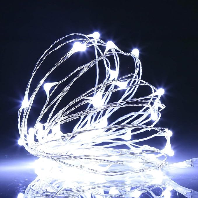 Homemory 2 Pack 20 Ft 60 LED Fairy Lights Battery Operated String Lights with Remote Waterproof 8 Modes Firefly Twinkle Christmas Lights for Christma Tree Wreath Decorations(Cool White)