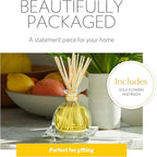 AGRARIA Monique Lhuillier Limone Scented AirEssence Diffuser, 7.4 Ounces with Reeds and Flowers