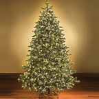 Holiday Essence Clear Christmas Lights Green Wire, 100 Incandescent Mini String Lights Set for Indoor Outdoor Holiday Lighting Decoration, Christmas Tree Lights, Static Flashing UL Certified