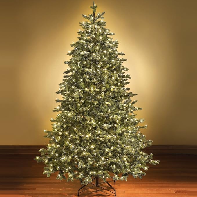 Holiday Essence Clear Christmas Lights Green Wire, 100 Incandescent Mini String Lights Set for Indoor Outdoor Holiday Lighting Decoration, Christmas Tree Lights, Static Flashing UL Certified