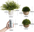 4 Pack Small Fake Plants, Artificial Plants Indoor for Home Decor, Mini Fake Plant Set Greenery for Shelf Kitchen Bathroom Farmhouse Office Room Decor
