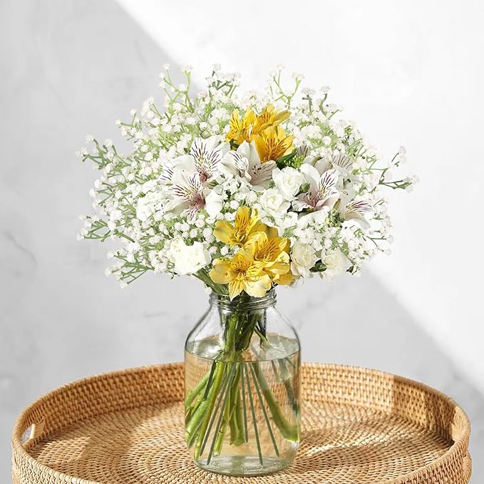 N&T NIETING Babys Breath Artificial Flowers Bulk White, 30Pcs Real Touch Faux Gypsophila Bouquets for Wedding Arch, Event Decor, Party Centerpieces, DIY Floral Arrangements, White