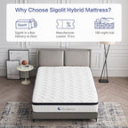 10 Inch Full Size Hybrid Mattress - Medium Firm, Memory Foam & Pocket Springs, Motion Isolation, Edge Support, Pressure Relief, Ships Compressed