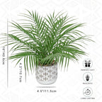 Hollyone Large Artificial Potted Plants Fake Palm Plants 16" Faux Green Plant Plastic Ceramic Tropical Palm Tree in Pots Bohemian for Home Room Office House Indoor Decorative