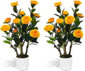 2Pack Artificial Camellia Tree, 2FT Faux Camellia Plant in Pot with Orange Flowers for Spring Home Front Door Outdoor Indoor Decoration,Orange
