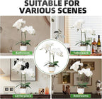CXGS Orchids Artificial Flowers Real Touch Fake Flowers in Ceramic Pot 20" White Faux Orchid Plant Lifelike Silk Phalaenopsis for Centerpiece Hotel Home Indoor Decor