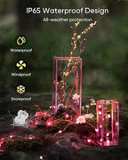Homemory 2 Pack Color Changing Fairy Lights Battery Operated, 20Ft 60LEDs RGB Fairy String Twinkle Lights with Remote, Waterproof Silver Wire for Halloween Decor-13 Colors