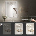 LED Bathroom Mirror with Lights,24x32 Inch Brushed Silver Framed Lighted Vanity Mirror,Anti Fog Stepless Dimmable Wall Mounted(Horizontal/Vertical)