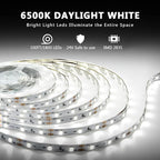 dalattin White LED Strip Lights 100ft, Dimmable Bright 24V Led Light Strip 6500K Daylight White 1800 LEDs Lights for Bedroom, Mirror, Kitchen, Strong Adhesive, 2 roll of 50ft