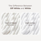 Bedsure GentleSoft Twin Blanket for Bed - Cozy Soft Blankets for Women, Cute Small Fleece Throws for Girls, Graduation Decorations Gift for Her Him School Dorm, Off White, 60x80 Inches