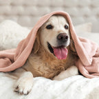 BEDELITE Fleece Blankets Queen Size Pink Morn Throw Blankets for Bed, Luxury Plush Cozy Fuzzy Blanket 90x90 inches, Super Soft Warm Lightweight Throw Blanket All Seasons Suitable