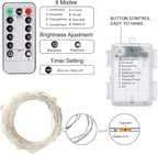 Homemory 2 Pack Each 20 Ft 60 LED Short Fairy Lights Battery Operated Christmas String Lights with Remote, Waterproof 8 Modes Firefly Twinkle Lights for Christmas Tree, Wreath Decor