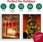 LAMPHOME Super-Bright Extendable Warm White Christmas Lights Decoration 300Lights 63.8ft(2pk of 150L) UL Certified Mini Bulb String Lights Set for Outdoor Christmas Tree Garden Holiday Party Decor
