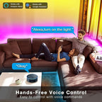 DAYBETTER 100 ft Smart WiFi Led Lights, Led Strip Lights Work with Alexa and Google Assistant, App Voice Remote Control Music Sync Color Changing RGB Strip Lighting for Bedroom Room Decor, 50 ft *2