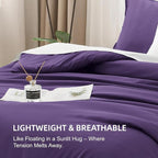 Litanika Purple Comforter Set Full Size, 3 Pieces Lightweight Solid Bedding Comforter Set, All Season Fluffy Bed Set (79x90In Comforter & 2 Pillowcases)