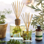Rosy Rings Forest Botanical Reed Diffuser 4oz - Lasts 6-12 Months, Aromatherapy Diffuser, Reed Diffuser Sticks, Diffuser with Botanicals Perfect for Home Decor!