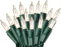 Holiday Pride Warm White Christmas Tree Lights - 100 Count Clear White Christmas Lights on Green Wire (24 Ft) - Indoor/Outdoor Use - UL Listed - Static & Blinking Modes - Connectable