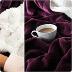 NANPIPER Sherpa Blanket for Couch, Warm and Lightweight Throw, Soft Fuzzy Plush Fleece for Winter, Plum Purple 50x60 Inches