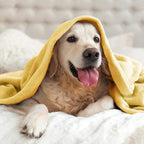 BEDELITE Fleece Blanket Cream Yellow Throw Blankets for Couch & Bed, Luxury Plush Cozy Fuzzy Blanket 50" x 60", Super Soft Warm Lightweight Throw Blanket for Travel Camping