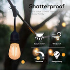 Banord Outdoor String Lights Vintage LED Filament Bulb, Shatterproof E26 Screw Base Edison LED Light Bulbs for Indoor & Outdoor Use 100 Pack