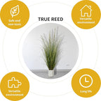 Artificial Plant 5ft(2pack) Tall Artificial Grass Plant,Faux Plants Indoor Home Decorative Artificial Plants & Flowers in Pot Fake Plant, House Plant Indoor