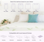 NapQueen Full Size, 8 Inch Anula Green Tea Infused Memory Foam Mattress, Bed in a Box, CertiPUR-US Certified Mattress