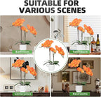 CXGS Orchids Artificial Flowers Real Touch Fake Flowers in Ceramic Pot 20" Orange Faux Orchid Plant Lifelike Silk Phalaenopsis for Centerpiece Hotel Home Indoor Decor