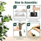 5Ft Artificial Camellia Tree in White Pot, White Faux Plant Indoor Outdoor (61"), Tall Flower Plant for Porch & Living Room Office Decor