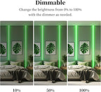 iNextStation COB LED Strip Light Green 16.4FT 5M, DC12V CRI 93+ Dimmable Flexible LED Tape Lights for Bedroom, Kitchen, TV Backlight, Cupboard, Wardrobe, Home Lighting Decor