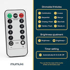 MUMUXI 2 Pack 33ft 100 LED Fairy Lights with Timer, Ourdoor Battery-Powered Twinkle and Remote Control, Christmas String Lights, Warm White Waterproof Decorative Lighting for Holidays and Events